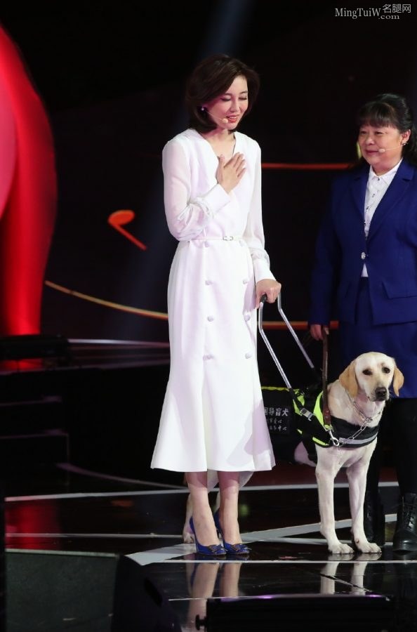 成熟大气的主持人李红白腿高跟鞋(5/5)