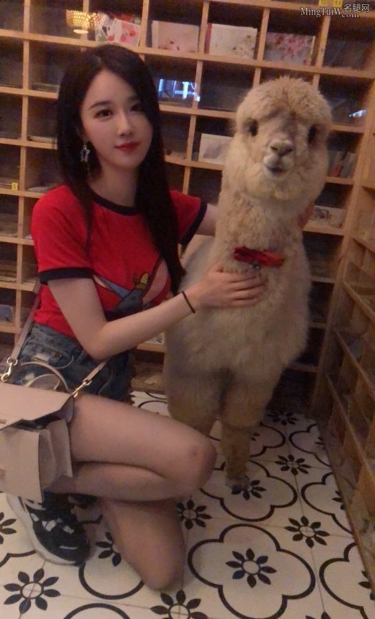 轩子巨二兔和羊驼在一起(1/2)