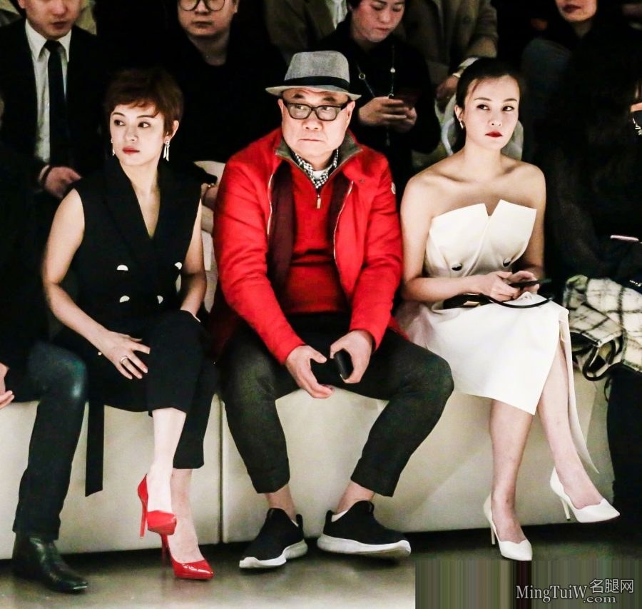 孙俪穿西服套装细高跟美脚背翘起(4/8)