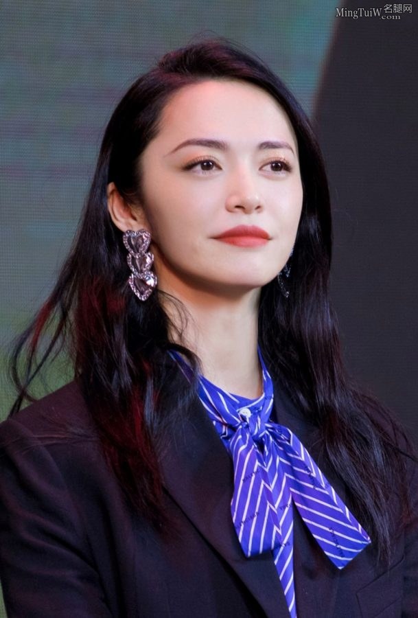 苏明玉姚晨穿黑色套装细高跟显干练(9/13)