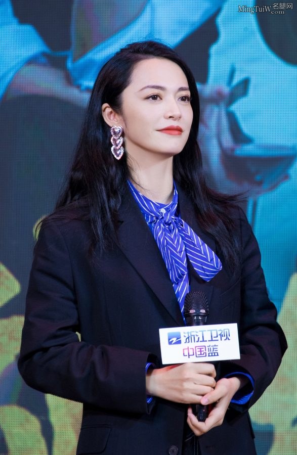 苏明玉姚晨穿黑色套装细高跟显干练(6/13)