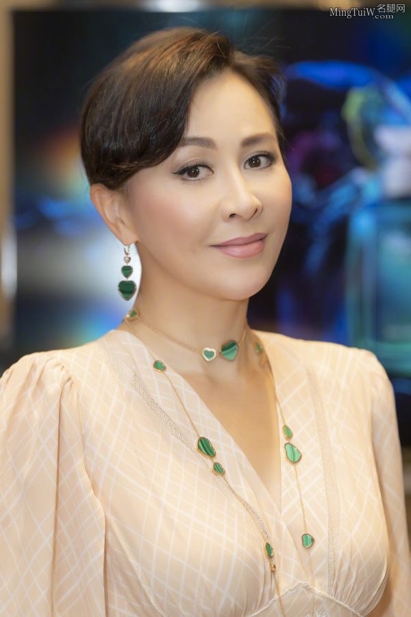气质的成熟美人刘嘉玲翘起细高跟美脚(4/15)