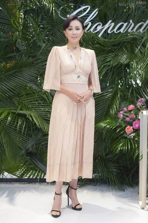 气质的成熟美人刘嘉玲翘起细高跟美脚(2/15)