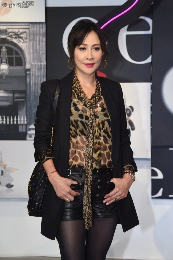 成熟韵味的女明星刘嘉玲的黑色丝袜细腿很有味道(4/12)