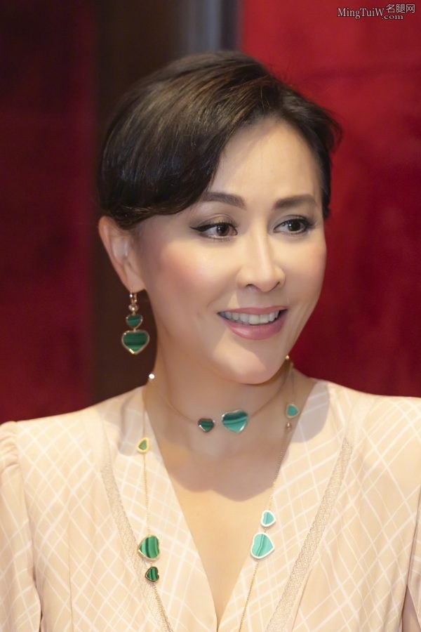 气质的成熟美人刘嘉玲翘起细高跟美脚(10/15)