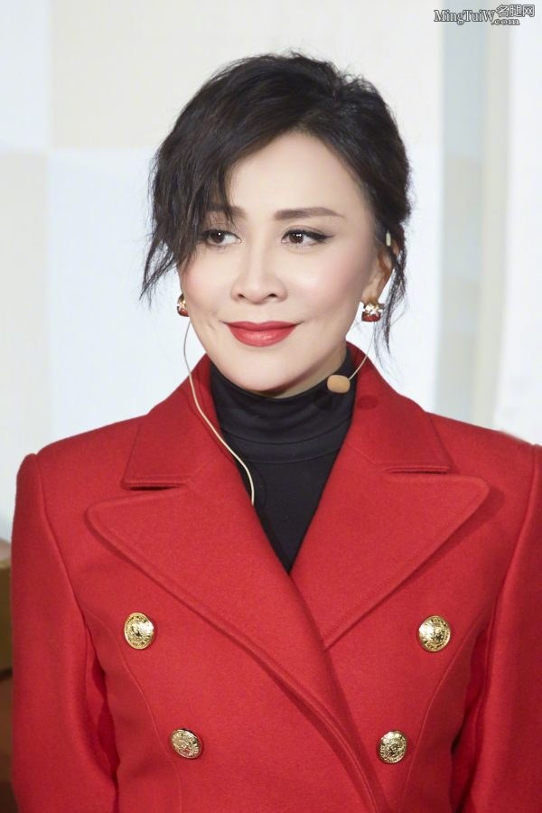 成熟气质刘嘉玲穿高跟长靴参加商业活动(4/6)