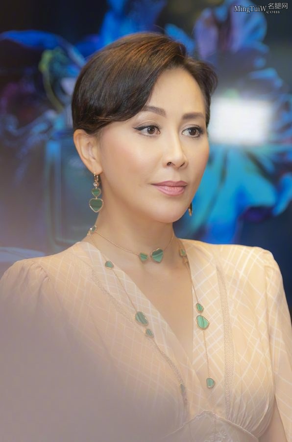 气质的成熟美人刘嘉玲翘起细高跟美脚(8/15)