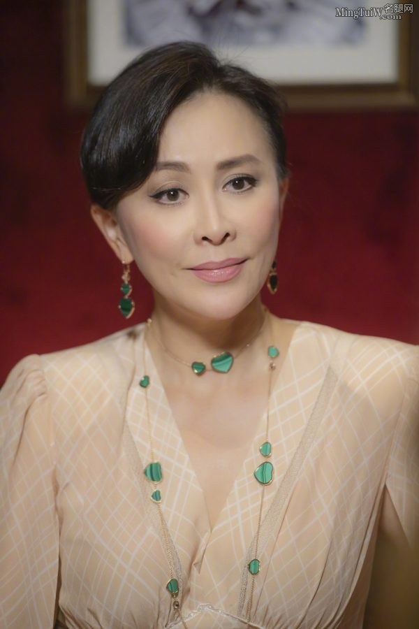 气质的成熟美人刘嘉玲翘起细高跟美脚(5/15)