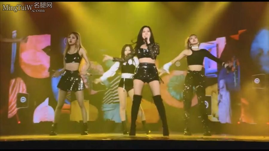 女团BLACKPINK世界巡回演唱会四双长腿秀秀秀[网盘](9/9)