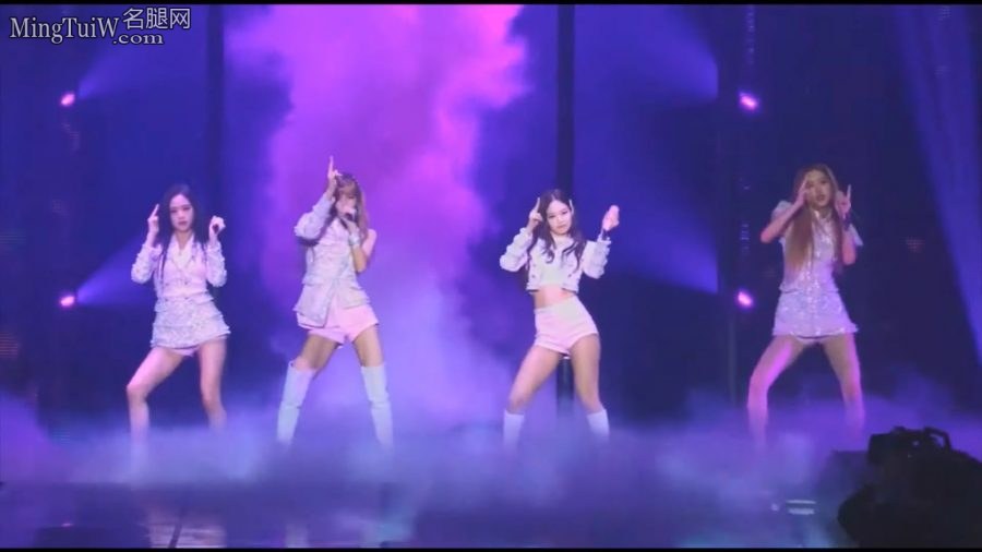 女团BLACKPINK世界巡回演唱会四双长腿秀秀秀[网盘](1/9)