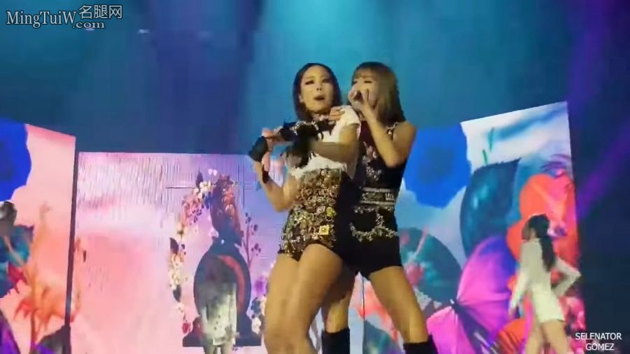 韩国女子团体组合BLACKPINK演唱会激情表演[网盘](10/10)