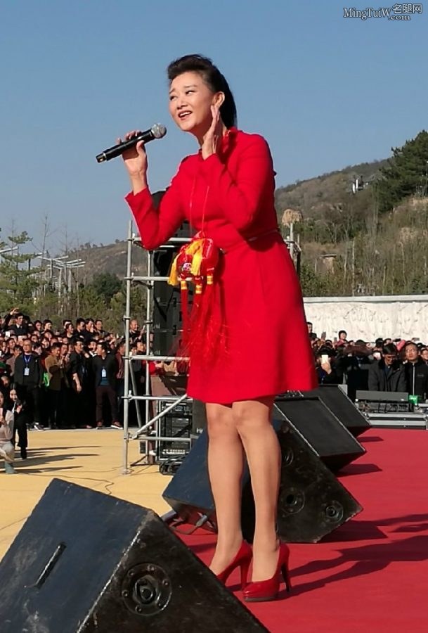 魅力女人宋祖英高跟美腿演出(1/1)