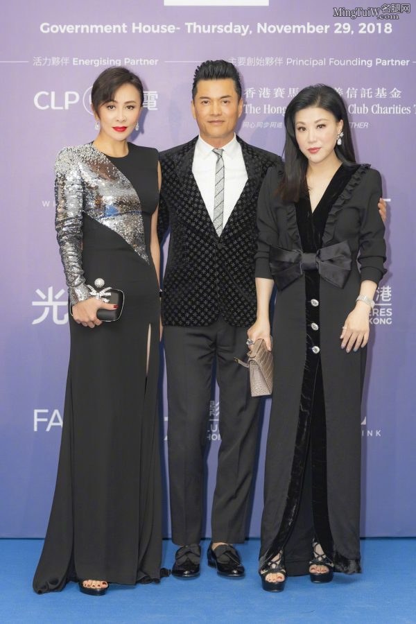 短发气质熟韵刘嘉玲穿开叉裙秀美腿(3/8)