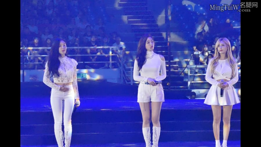 T-ara四大美女美腿并排唱歌挑一个带走[网盘](3/7)