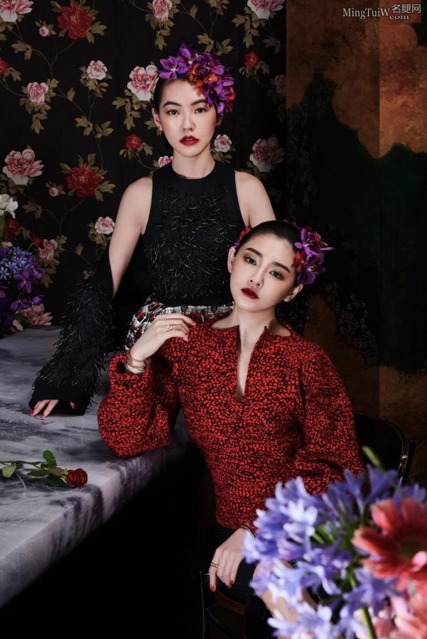 亲姐妹大S和小S拍写真红唇性感(1/4)