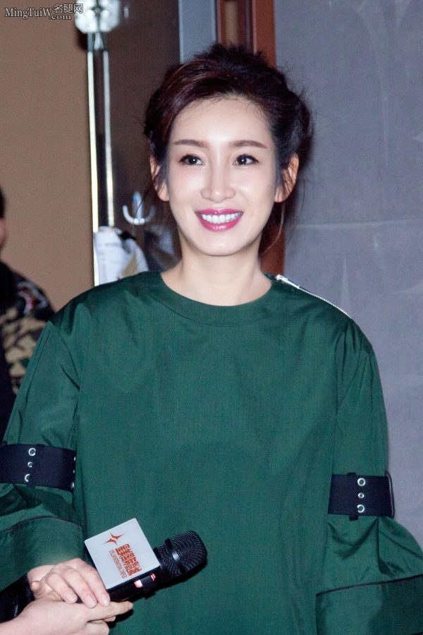 女明星秦海璐出席活动好直的腿(6/8)