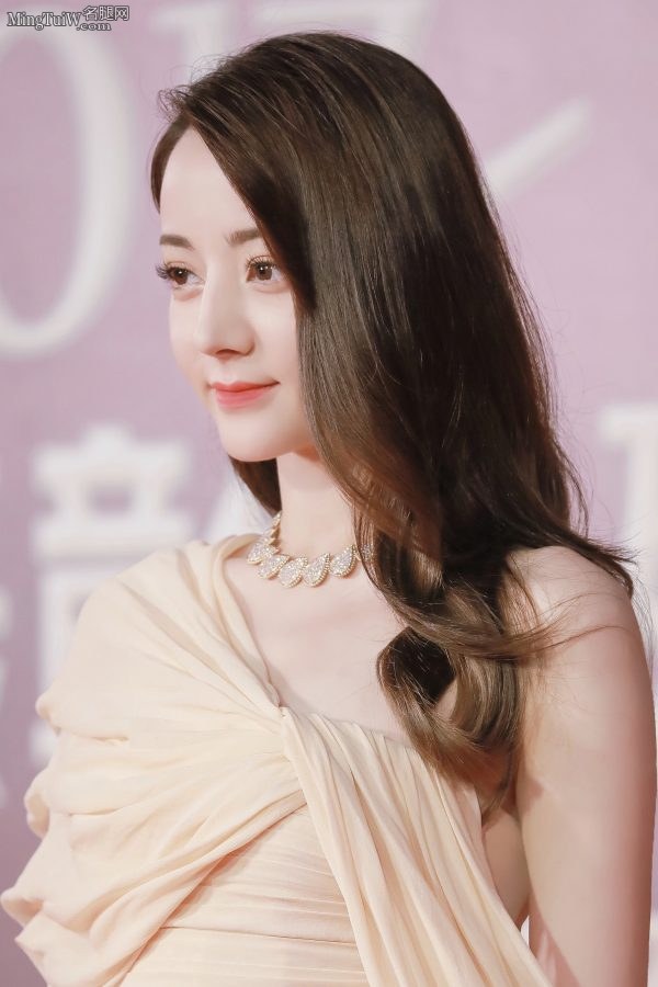 优雅的小仙女迪丽热巴长裙露腿参加颁奖礼(14/14)