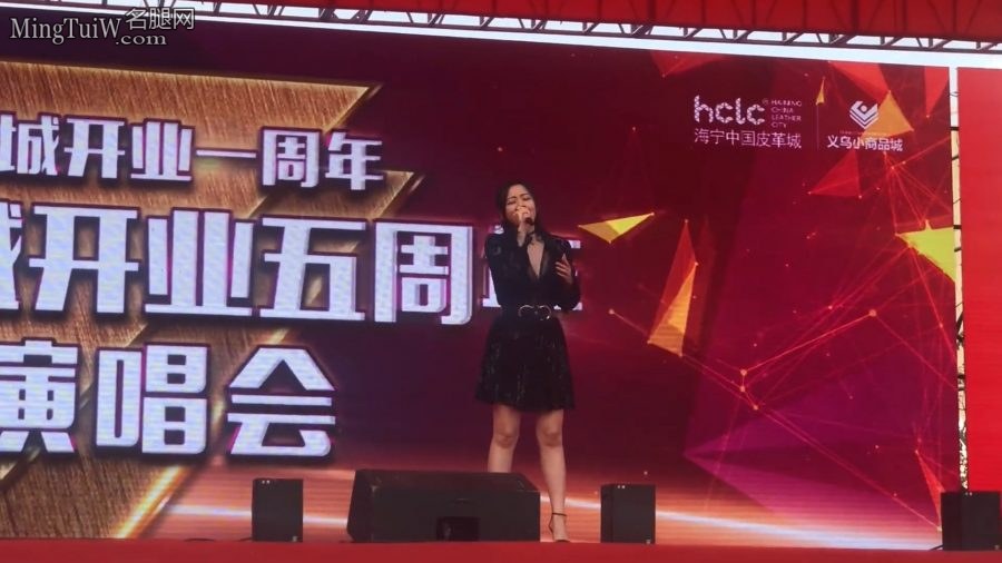 张靓颖商演献唱《如果这就是爱情》(3/7)