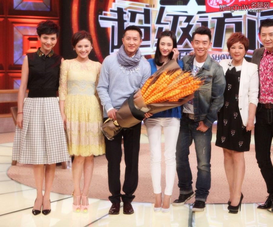 王丽坤录制《超级访问》脚穿性感尖头高跟鞋(21/21)