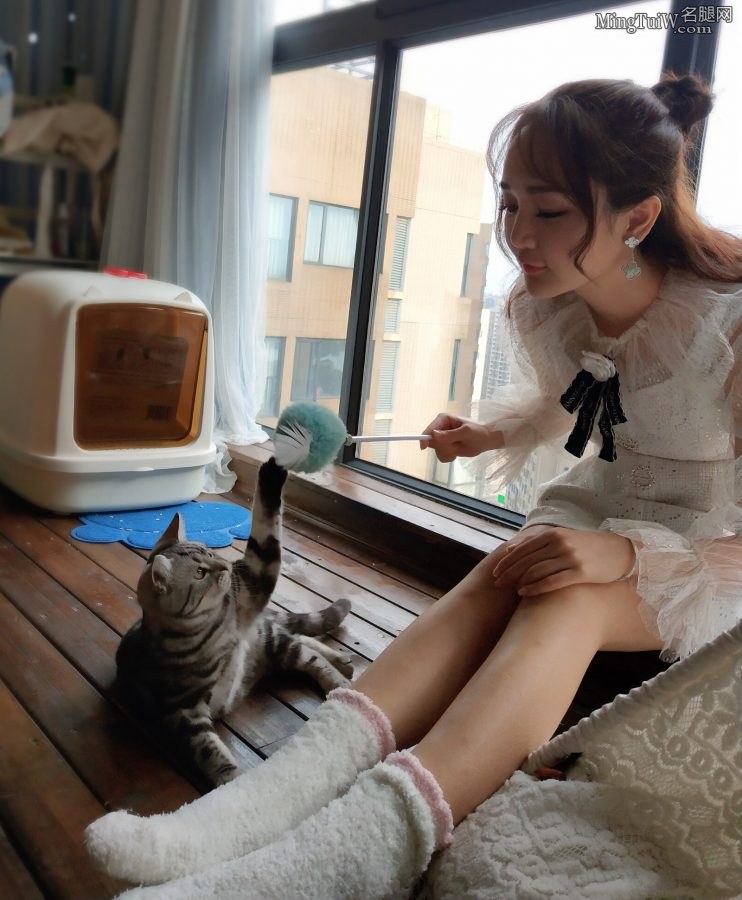 靳梦佳在家穿可爱棉袜逗猫(3/4)