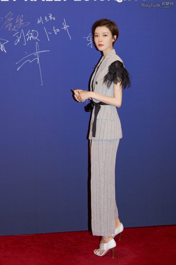 已经离婚的魅力女星车晓的露脚趾高跟鞋(4/5)