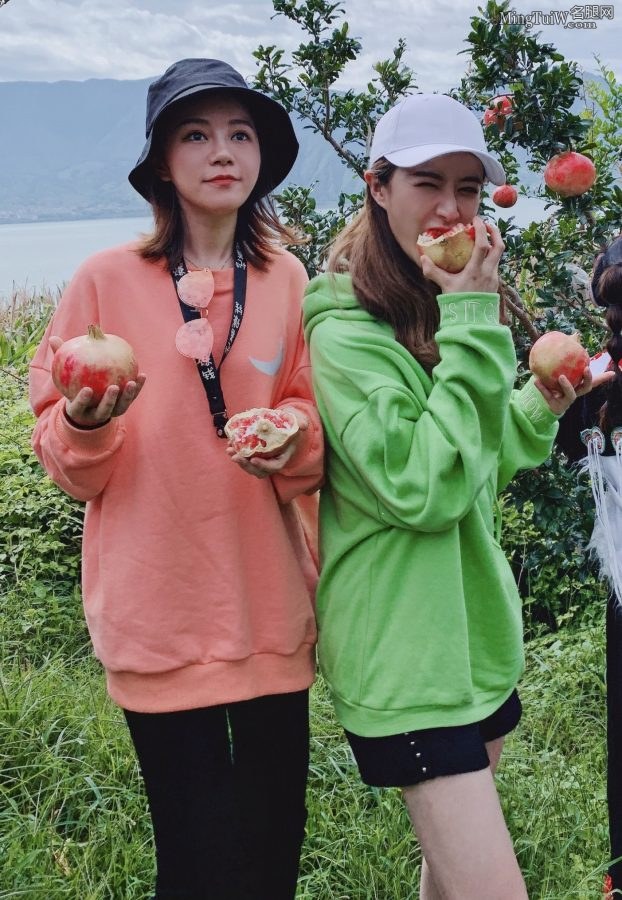 美腿女主播薇娅到云南直播带货(7/7)