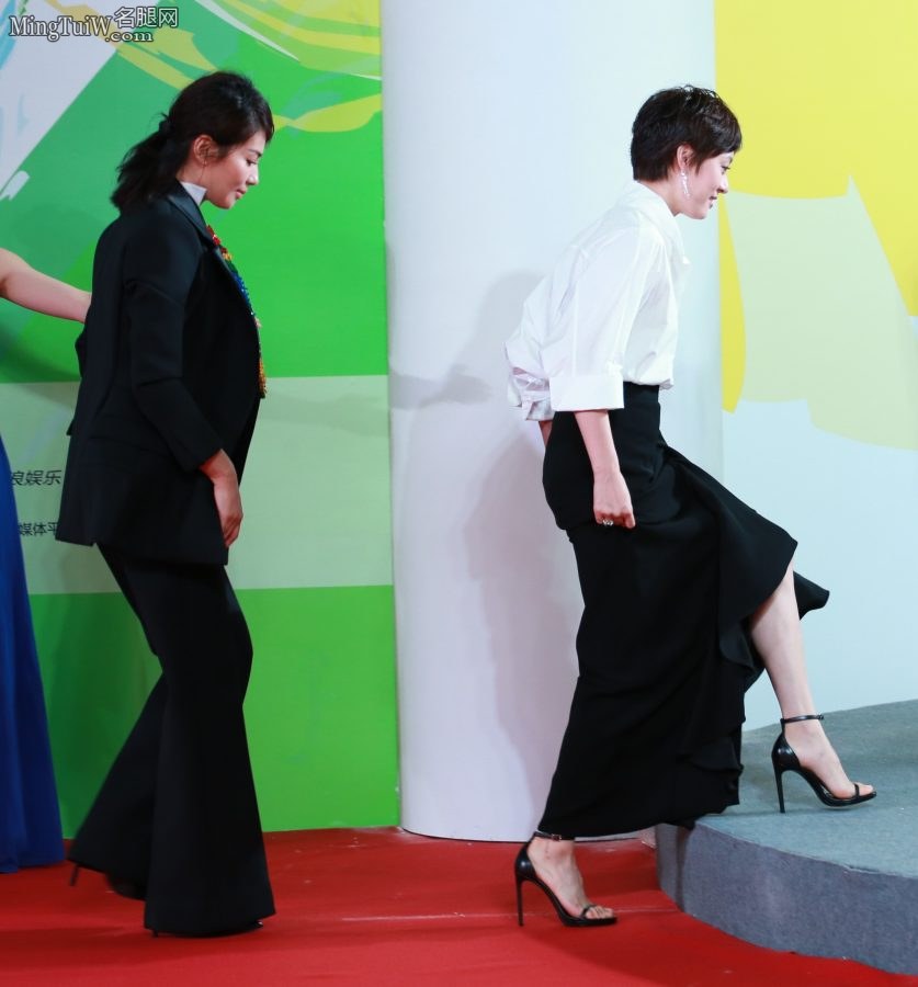 刘涛和孙俪两大成熟美女霸气走红毯 两双细高跟你爱谁(6/13)