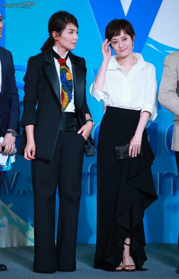 刘涛和孙俪两大成熟美女霸气走红毯 两双细高跟你爱谁(10/13)