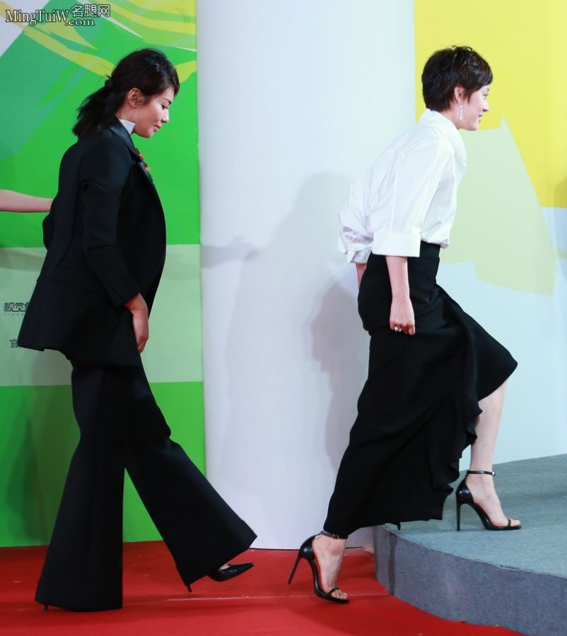刘涛和孙俪两大成熟美女霸气走红毯 两双细高跟你爱谁(7/13)