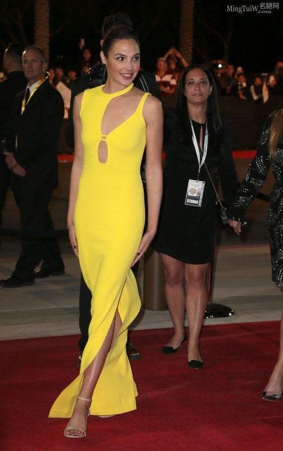 以色列女明星盖尔·加朵穿高贵开叉礼服走红毯（第10张/共12张）