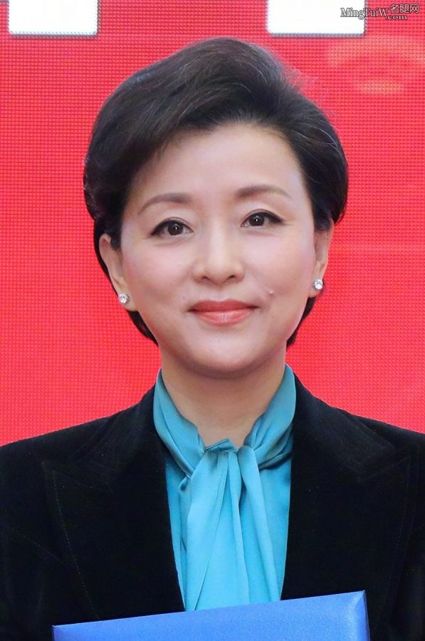 杨澜获技术证书穿黑丝袜登台(2/2)
