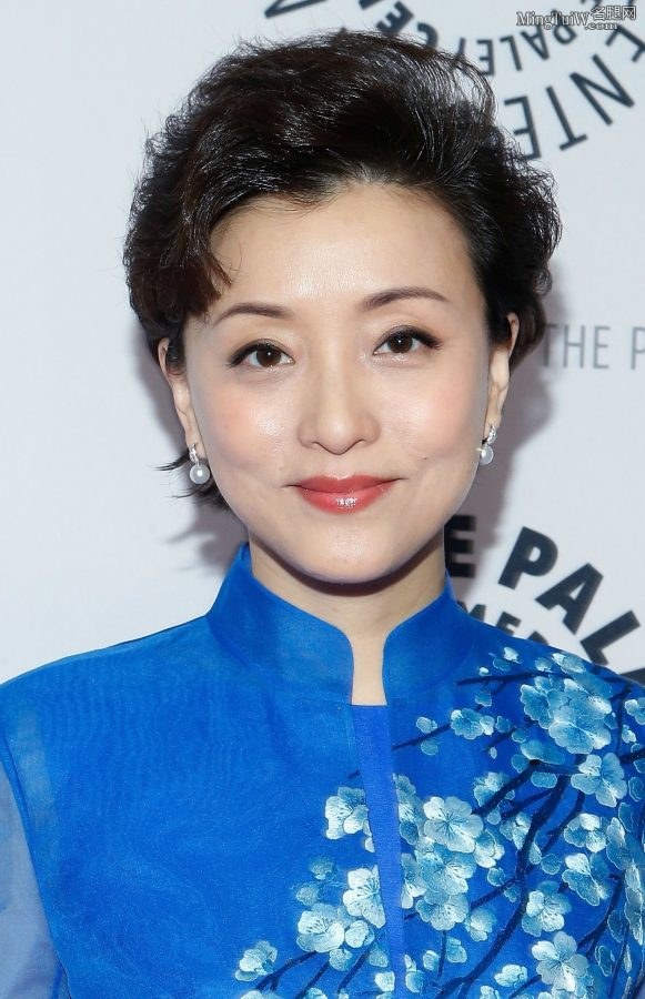 优雅成熟的美女主持人杨澜肉丝腿走红毯(2/4)