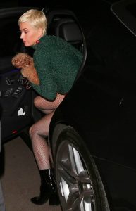丰满的美国歌星凯蒂·佩里红配绿穿包臀裙黑丝袜亮相
