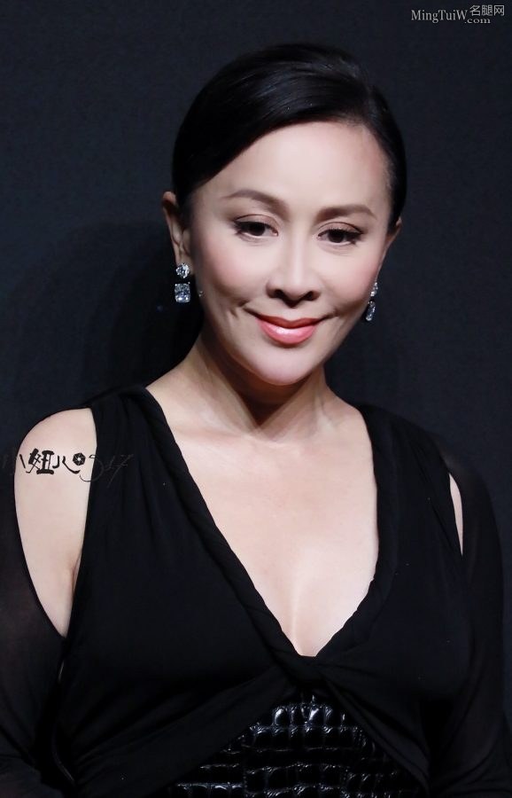 优雅熟韵刘嘉玲穿低胸礼服秀美沟(3/6)