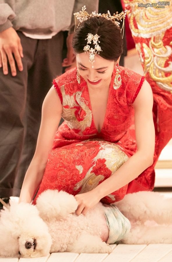 蔡依林拍写真穿深V新娘妆，小S美玉腿抢镜(5/6)