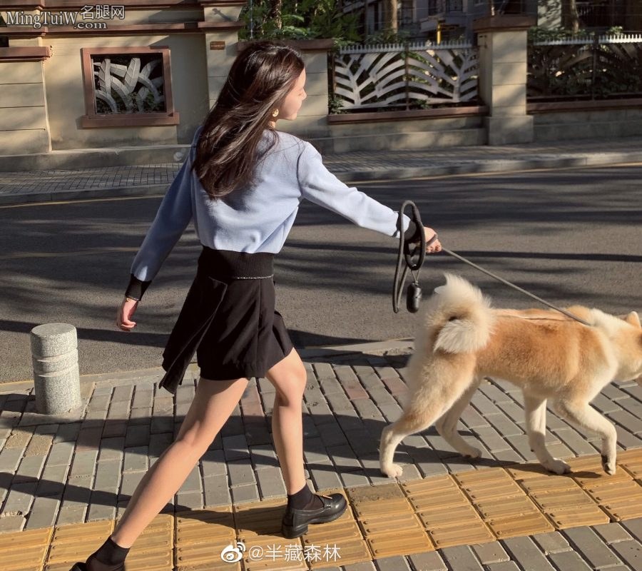 可爱甜美半藏森林短裤细腿外出遛狗(6/8)