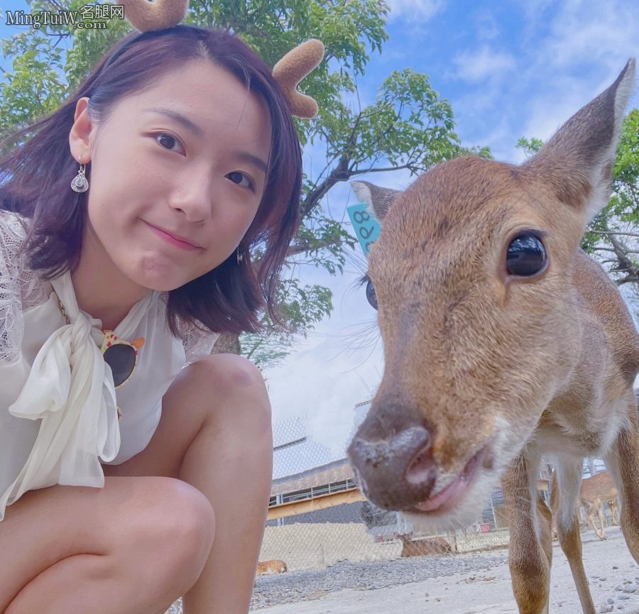 小鹿孙雨彤美腿喂小鹿(1/5)