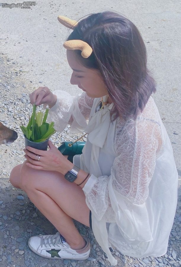 小鹿孙雨彤美腿喂小鹿(3/5)