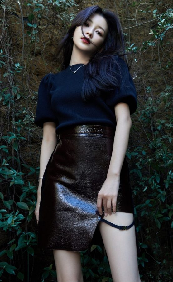 精致的女明星孙怡魅力大长腿(3/8)