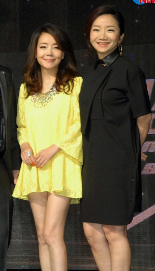 辛晓琪和陶晶莹两人美腿高跟同台活动亮相(3/9)