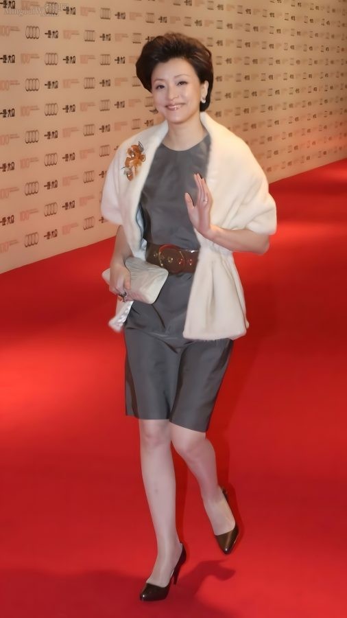 气质女主持人杨澜腿穿高级丝袜走红毯老图(1/1)