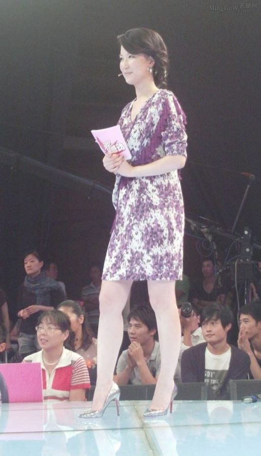 东方卫视女主持人陈蓉的美腿细高跟(11/14)