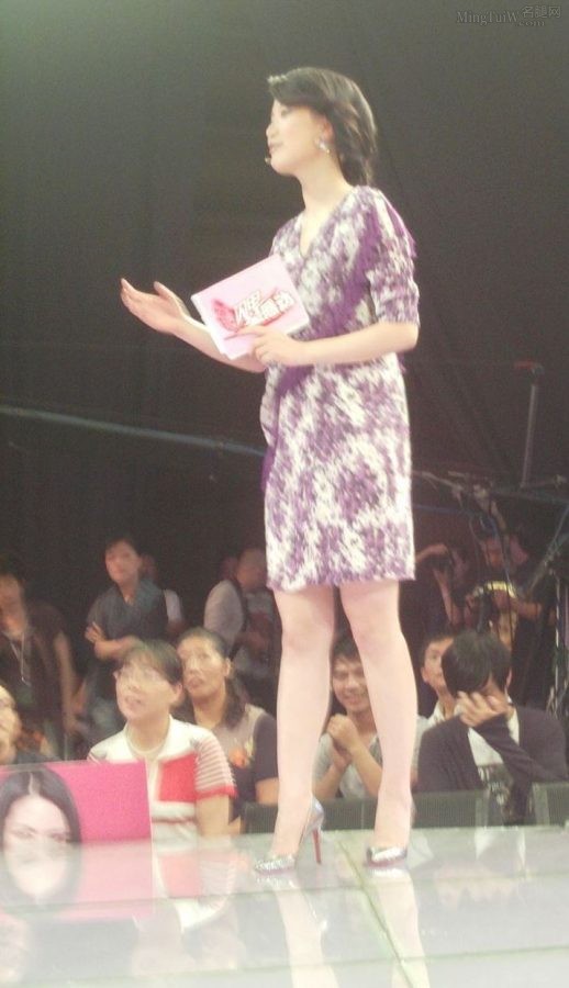 东方卫视女主持人陈蓉的美腿细高跟(14/14)