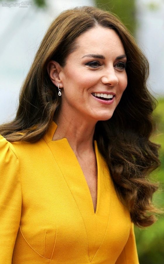 Kate Middleton脚穿超薄肉色丝袜配Gianvito Rossi细高跟鞋(11/19)