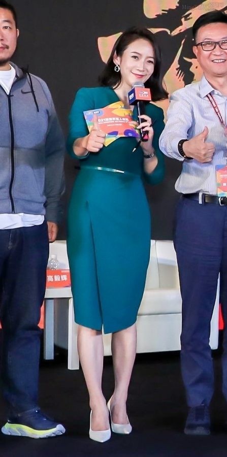 艾诚身穿深绿色套裙踩尖头高跟主持投资界论坛(2/5)