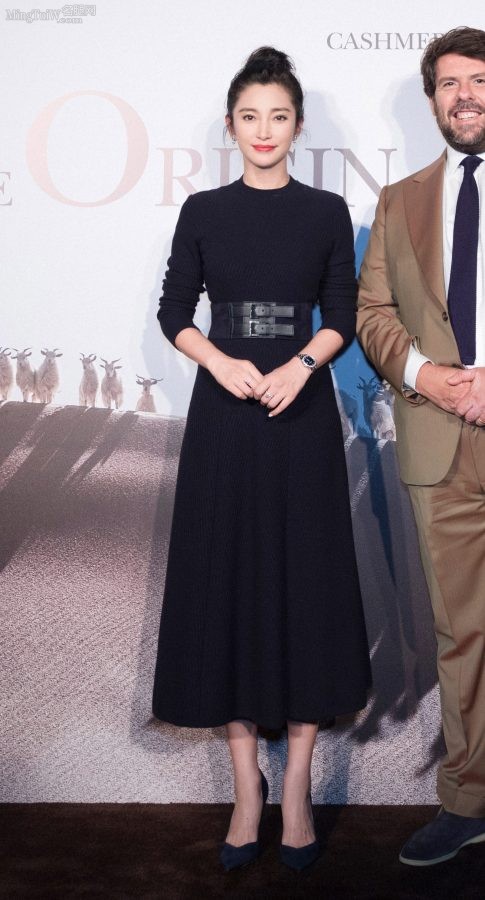 李冰冰细长美脚背穿Stuart Weitzman高跟鞋(4/6)