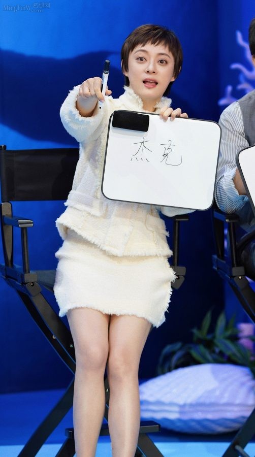女明星孙俪优雅气质美腿白皙宣传活动照(5/5)