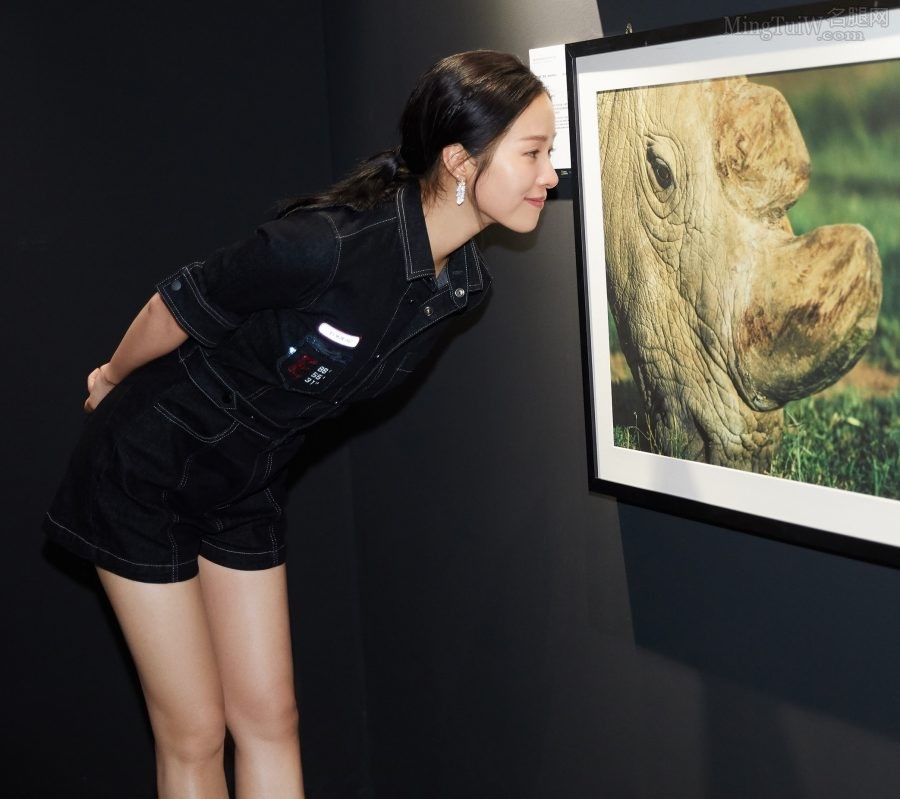 江一燕在摄影展上展示自己修长的玉腿（第3张/共4张）