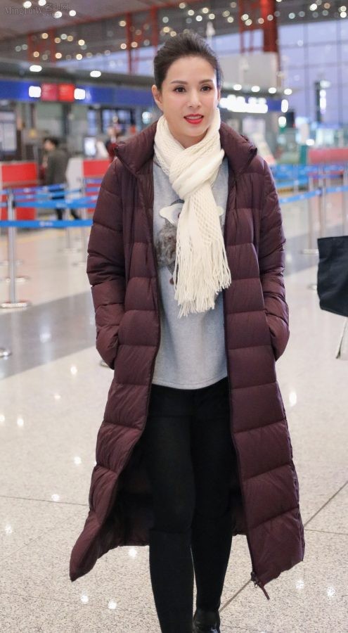 女明星李若彤腿穿厚黑丝袜现身机场(2/3)