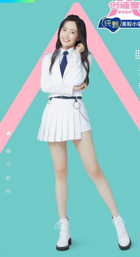 王艺瑾西装小白裙露出白滑的美腿(5/5)